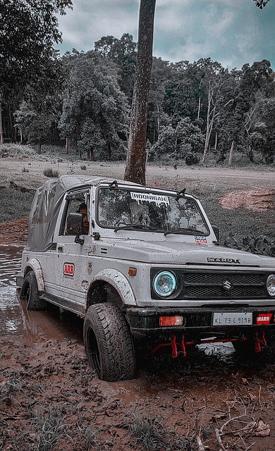 们在英超赛 们在英超赛